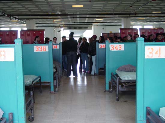 DSC06431